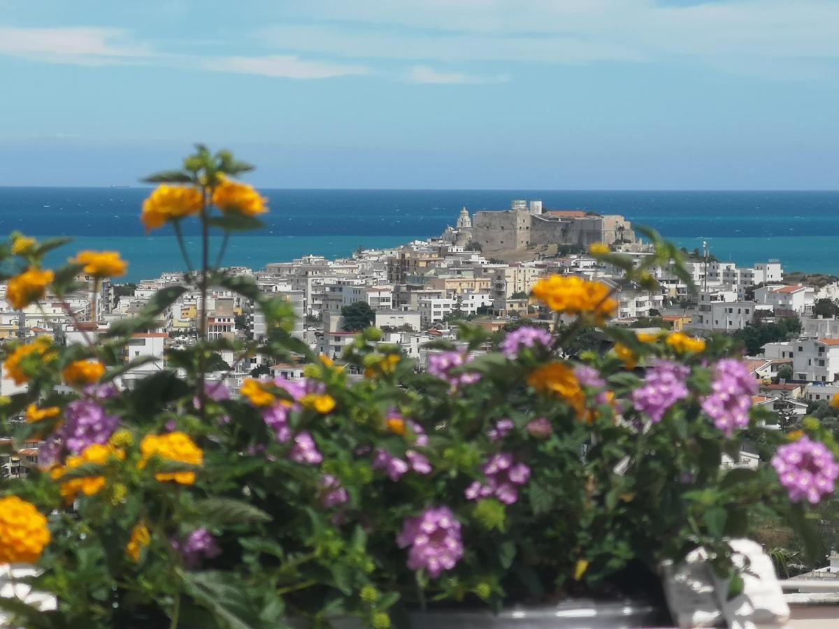 Villa Arenella Vieste Ngoại thất bức ảnh