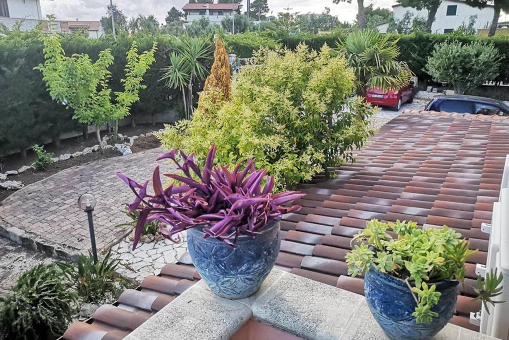 Villa Arenella Vieste Ngoại thất bức ảnh