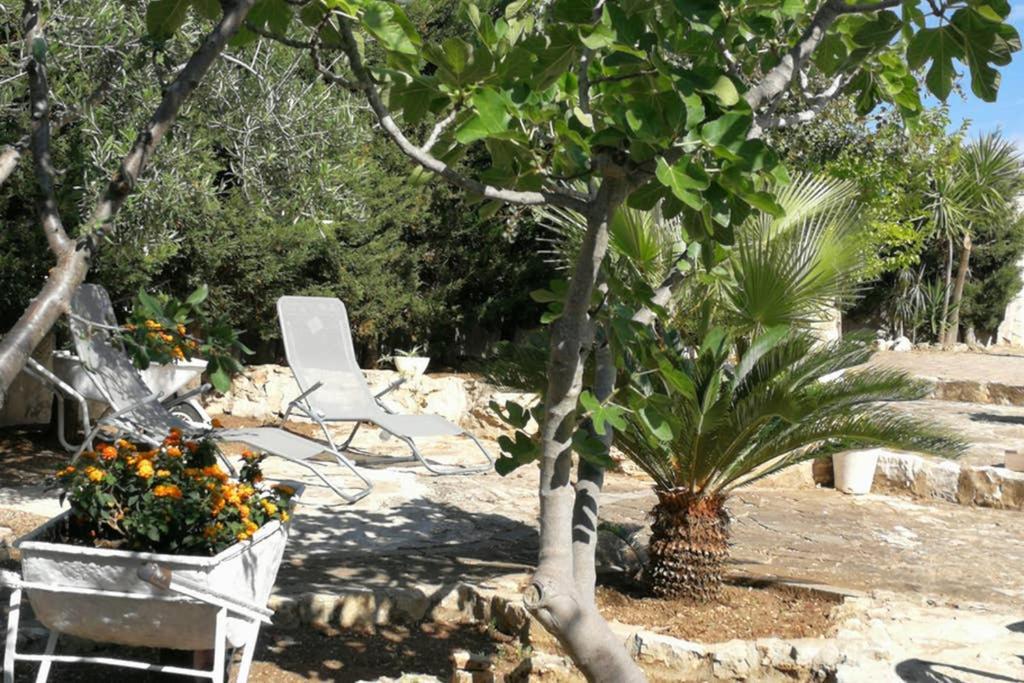 Villa Arenella Vieste Ngoại thất bức ảnh